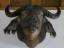 saikee's Avatar