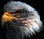 bsm2001's Avatar